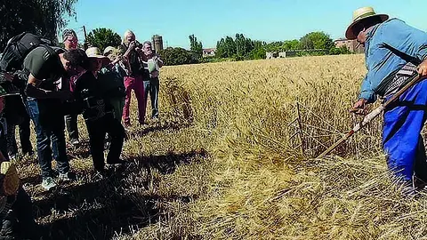 El públic observa el segador amb la dalla en la Festa del Segar de la Fuliola