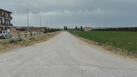 Imatge del camí en el que es drà a terme l'actuació