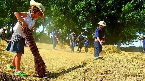 La Festa del Batre a la Fuliola