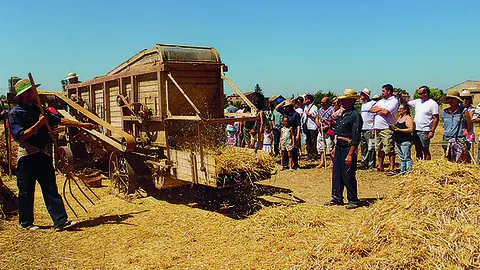 La Festa del Batre atrau centenars de persones (1) portada