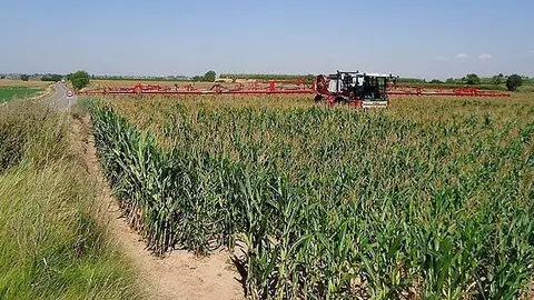 Una màquina aplicant tractaments fitosanitaris per combatre la plaga de l'aranya