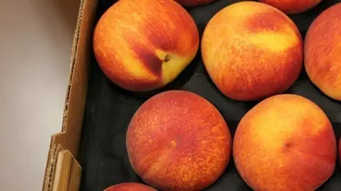 fruita