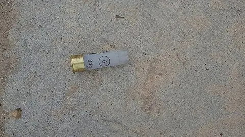 Pla mig del casquet de la bala que hauria matat un gat a Linyola, el 16 d'agost de 2017. (Horitzontal)