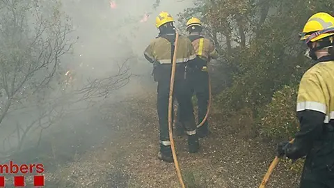 #Bomberscat han pogut aturar el cap de #IFVinaixa