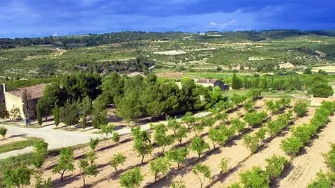 Imatge de la Vall de Vinaixa