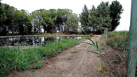 Imatge de la tanca que van tallar en la bassa de Bell-lloc Portada