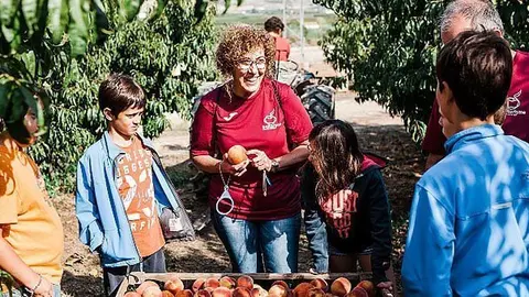 Clou la campanya de promoció turística “Aitona en Fruita” 2017 portada