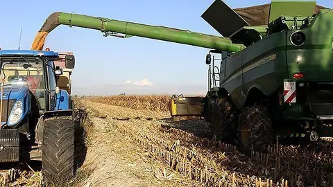 Les màquines recullen panís en una finca de Linyola