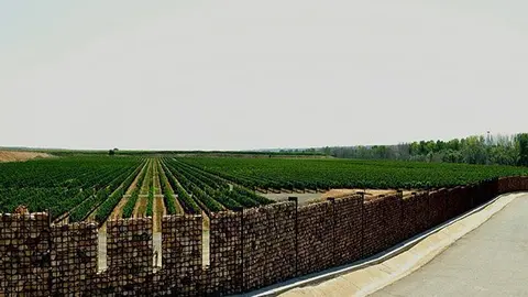 Les finques del celler Lagravera d'Alfarràs