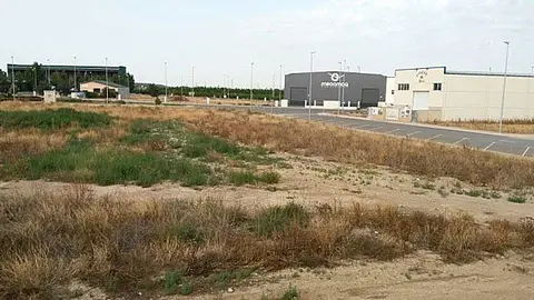 Terrenys en els quals es construeix el pàrquing de camions del Palau