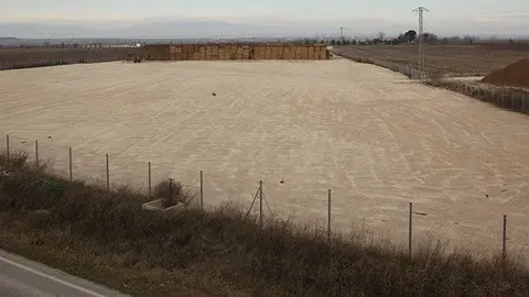 Terreny on es projectava la construcció de la planta de biomassa