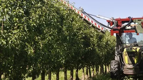 Treballs en una finca familiar de la demarcació de Lleida