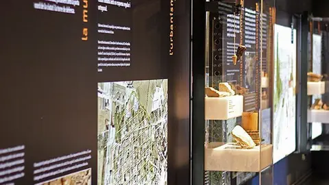 Exposició permanent al Museu de Guissona