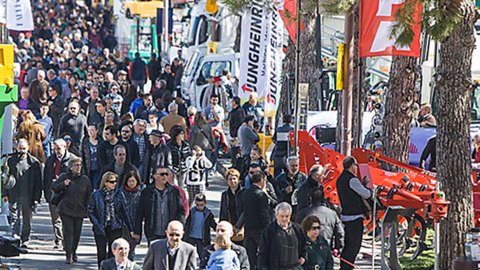 Fira de Mollerussa portada