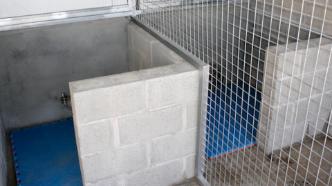 Boxes Centre d'Acollida Provisional Alpicat portada