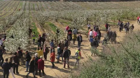 Participants en edicions anteriors en la ruta Alcarràs Florit - porada 