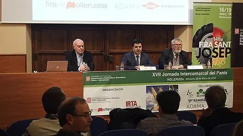 El director de Fira Mollerussa Poldo Segarra presenta la jornada del panís