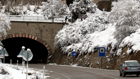 Cervera Nevada portada