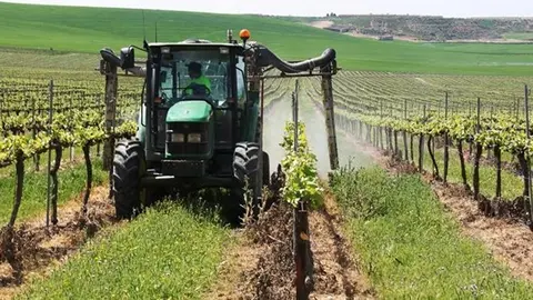 El sistema DOSA3D pot ser usat en vinya