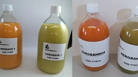 begudes fruita AgroBank