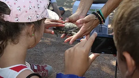 Setmana Natural Introducció tortugues a l'Estany d'Ivars i Vila-sana