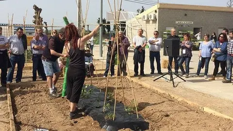 Viu l'Hort la fira Hortícola a Castellserà