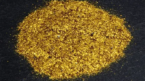 Palletes d'or extretes del riu Segre al Centre d'Interpretació de l'Or del Segre