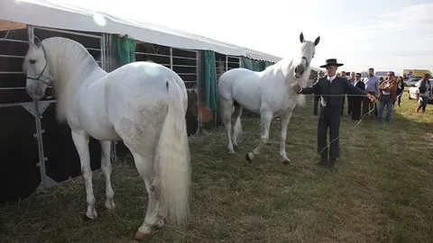 Primera edició del certamen EquiMollerussa a l'INS Mollerussa (1)