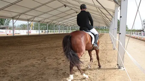 Primera edició del certamen EquiMollerussa a l'INS Mollerussa (15)