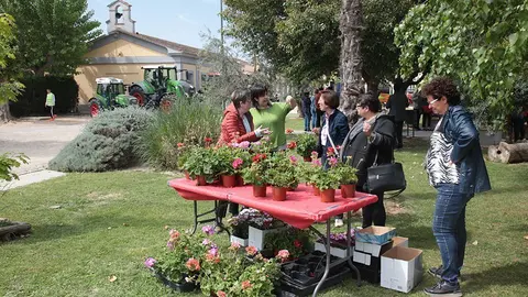 Primera edició del certamen EquiMollerussa a l'INS Mollerussa (16)