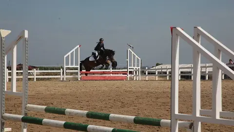 Primera edició del certamen EquiMollerussa a l'INS Mollerussa (19)