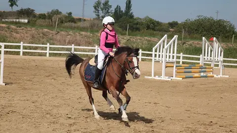 Primera edició del certamen EquiMollerussa a l'INS Mollerussa (20)