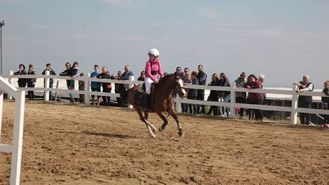 Primera edició del certamen EquiMollerussa a l'INS Mollerussa (21)