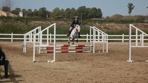 Primera edició del certamen EquiMollerussa a l'INS Mollerussa (22)