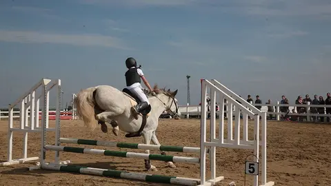 Primera edició del certamen EquiMollerussa a l'INS Mollerussa (25)