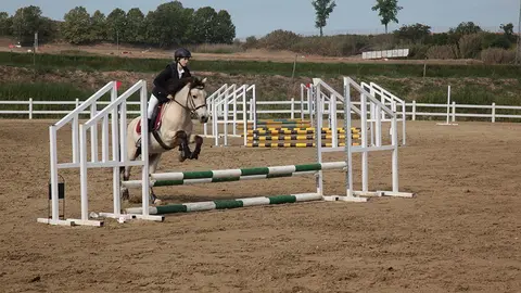 Primera edició del certamen EquiMollerussa a l'INS Mollerussa (28)