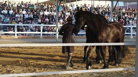 Primera edició del certamen EquiMollerussa a l'INS Mollerussa (30)