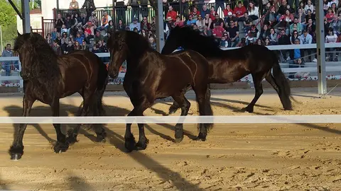 Primera edició del certamen EquiMollerussa a l'INS Mollerussa (31)