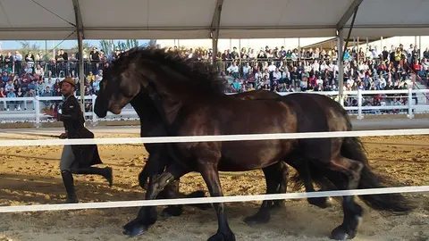 Primera edició del certamen EquiMollerussa a l'INS Mollerussa (32)