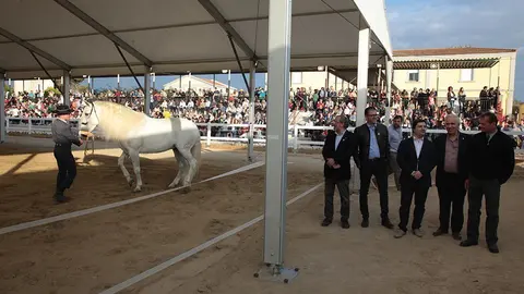 Primera edició del certamen EquiMollerussa a l'INS Mollerussa (33)