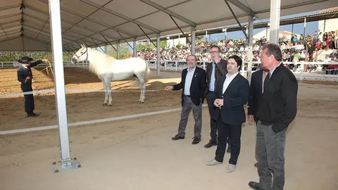 Primera edició del certamen EquiMollerussa a l'INS Mollerussa (34)