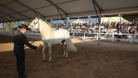 Primera edició del certamen EquiMollerussa a l'INS Mollerussa (35)