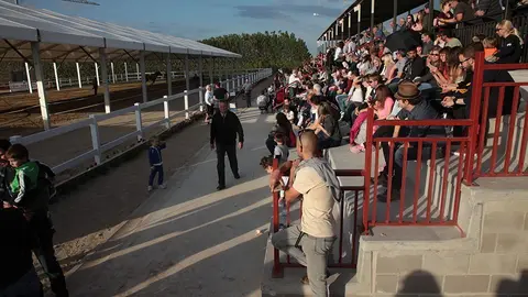 Primera edició del certamen EquiMollerussa a l'INS Mollerussa (36)