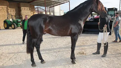 Primera edició del certamen EquiMollerussa a l'INS Mollerussa (38)