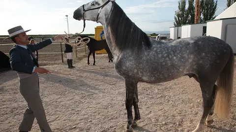 Primera edició del certamen EquiMollerussa a l'INS Mollerussa (39)