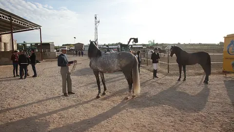 Primera edició del certamen EquiMollerussa a l'INS Mollerussa (40)