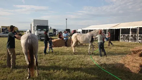 Primera edició del certamen EquiMollerussa a l'INS Mollerussa (41)