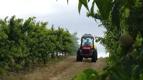 Un productor aplicant fitosanitaris per les plagues