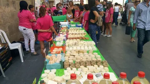 Edicions anteriors del Dia de la Ciència al Carrer impulsat des de l'UdL