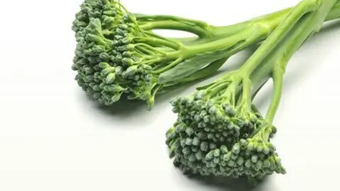 brocolet3